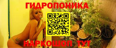 ешки Рязань