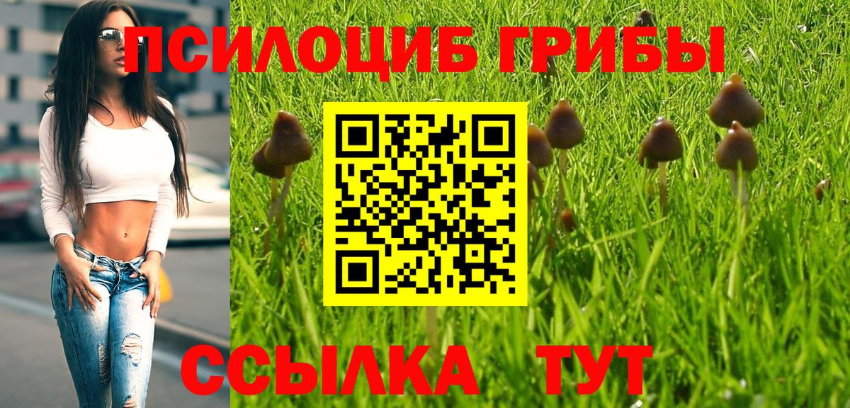 Прокопьевск  Псилоцибиновые грибы ЛСД  Вход с VPN 